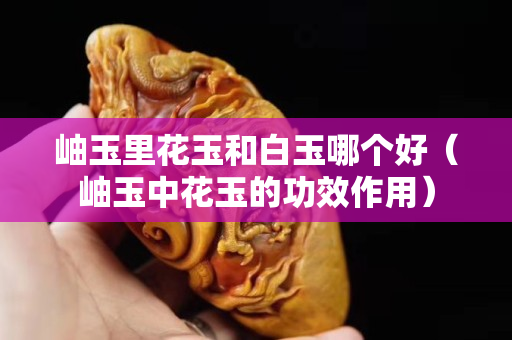 岫玉里花玉和白玉哪個好（岫玉中花玉的功效作用）