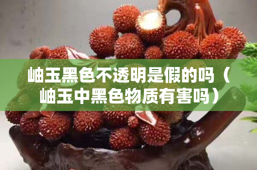 岫玉黑色不透明是假的嗎（岫玉中黑色物質有害嗎）