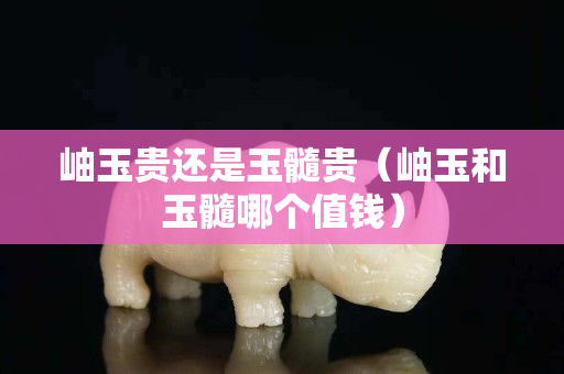岫玉貴還是玉髓貴（岫玉和玉髓哪個值錢）