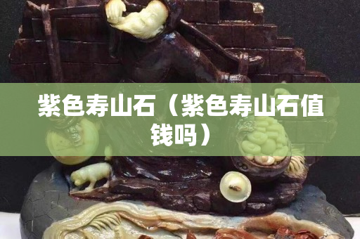 紫色壽山石（紫色壽山石值錢嗎）