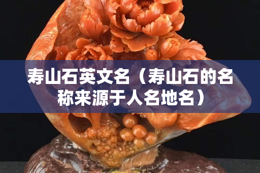 壽山石英文名（壽山石的名稱來源于人名地名）