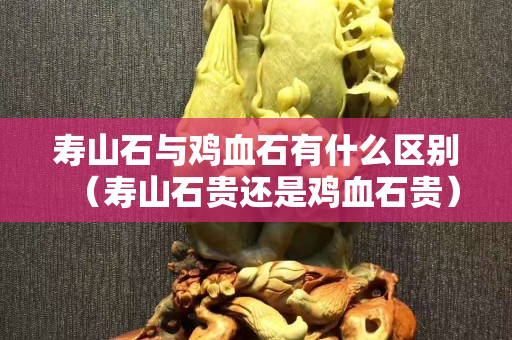 壽山石與雞血石有什么區別（壽山石貴還是雞血石貴）