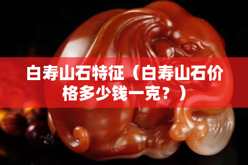 白壽山石特征（白壽山石價格多少錢一克？）