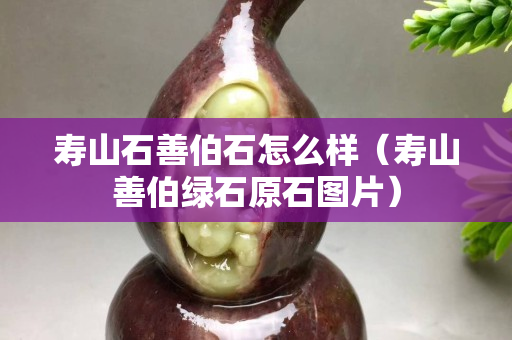 壽山石善伯石怎么樣（壽山善伯綠石原石圖片）