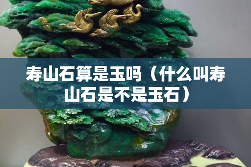 壽山石算是玉嗎（什么叫壽山石是不是玉石）