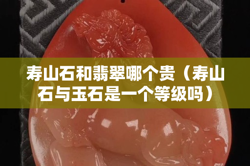 壽山石和翡翠哪個(gè)貴（壽山石與玉石是一個(gè)等級(jí)嗎）