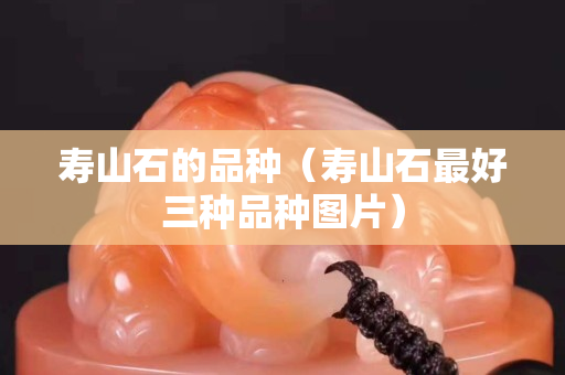 壽山石的品種（壽山石最好三種品種圖片）