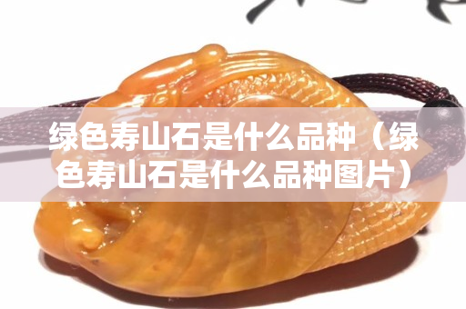 綠色壽山石是什么品種（綠色壽山石是什么品種圖片）