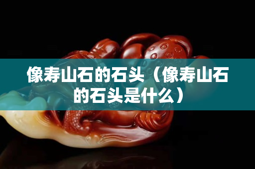 像壽山石的石頭（像壽山石的石頭是什么）