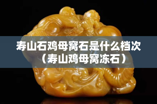 壽山石雞母窩石是什么檔次（壽山雞母窩凍石）