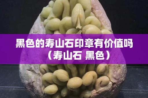 黑色的壽山石印章有價值嗎（壽山石 黑色）