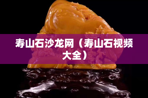 壽山石沙龍網(wǎng)（壽山石視頻大全）
