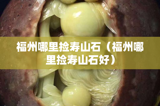 福州哪里撿壽山石（福州哪里撿壽山石好）