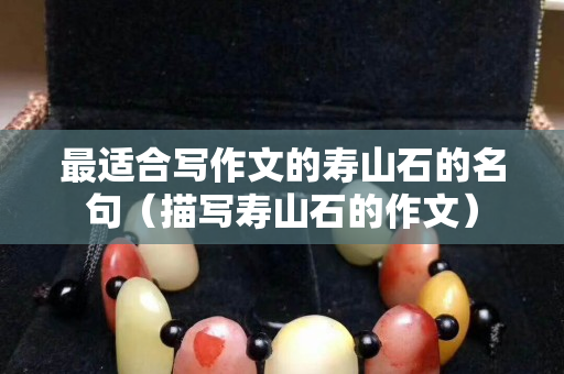 最適合寫(xiě)作文的壽山石的名句（描寫(xiě)壽山石的作文）