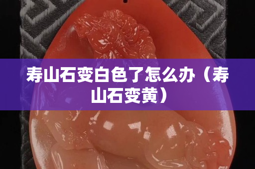 壽山石變白色了怎么辦（壽山石變黃）