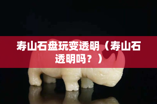 壽山石盤玩變透明（壽山石透明嗎？）