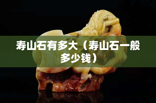 壽山石有多大（壽山石一般多少錢）