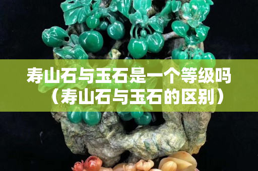 壽山石與玉石是一個等級嗎（壽山石與玉石的區別）