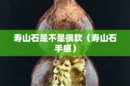 壽山石是不是很軟（壽山石手感）