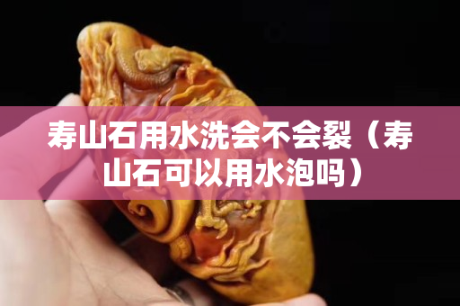 壽山石用水洗會不會裂（壽山石可以用水泡嗎）