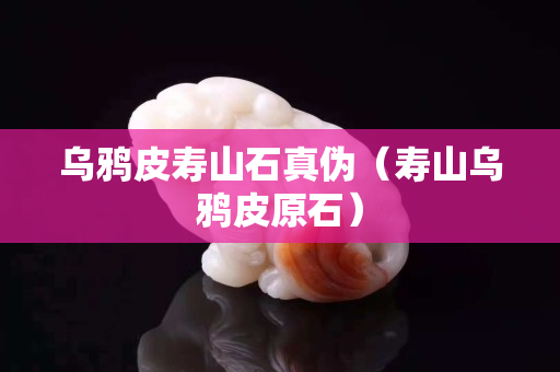 烏鴉皮壽山石真偽（壽山烏鴉皮原石）