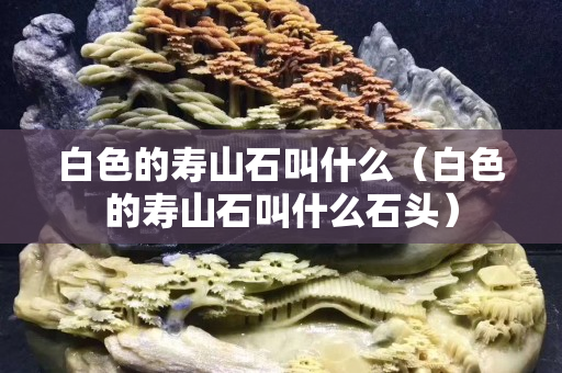 白色的壽山石叫什么（白色的壽山石叫什么石頭）