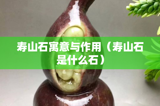 壽山石寓意與作用（壽山石是什么石）