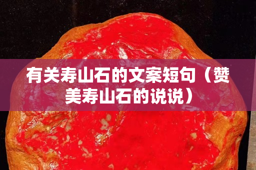 有關壽山石的文案短句（贊美壽山石的說說）