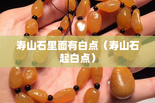 壽山石里面有白點(diǎn)（壽山石起白點(diǎn)）