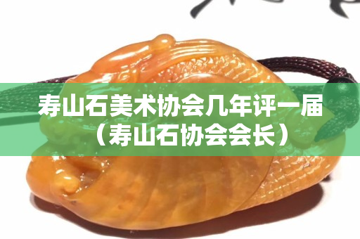 壽山石美術(shù)協(xié)會(huì)幾年評(píng)一屆（壽山石協(xié)會(huì)會(huì)長(zhǎng)）
