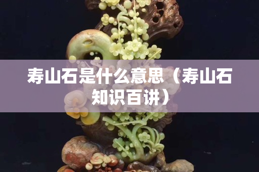 壽山石是什么意思（壽山石知識百講）