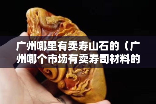 廣州哪里有賣壽山石的（廣州哪個市場有賣壽司材料的）