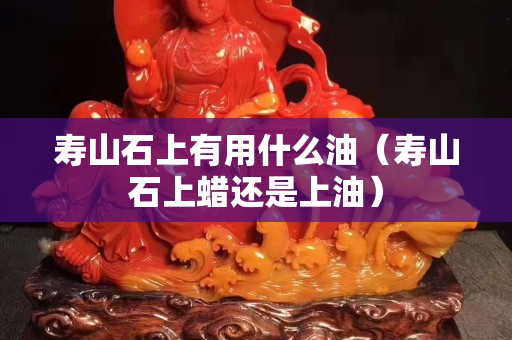 壽山石上有用什么油（壽山石上蠟還是上油）