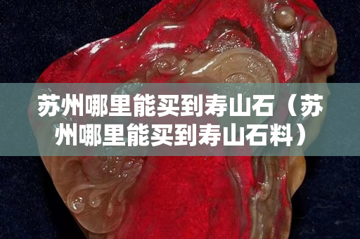 蘇州哪里能買到壽山石（蘇州哪里能買到壽山石料）