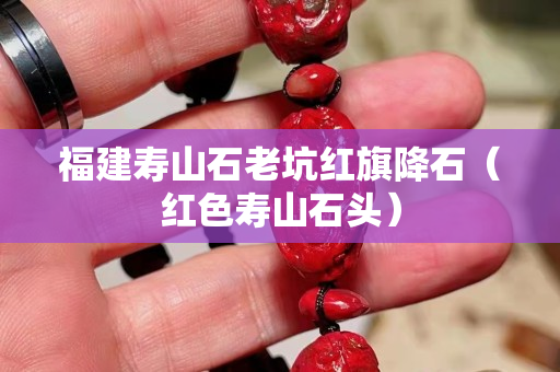 福建壽山石老坑紅旗降石（紅色壽山石頭）