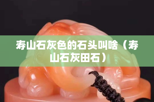 壽山石灰色的石頭叫啥（壽山石灰田石）