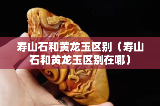 壽山石和黃龍玉區別（壽山石和黃龍玉區別在哪）