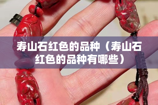 壽山石紅色的品種（壽山石紅色的品種有哪些）