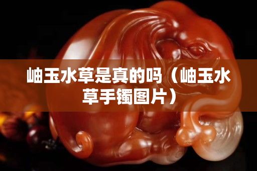 岫玉水草是真的嗎（岫玉水草手鐲圖片）