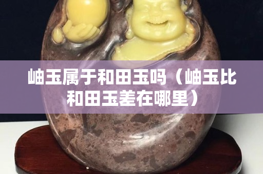 岫玉屬于和田玉嗎（岫玉比和田玉差在哪里）