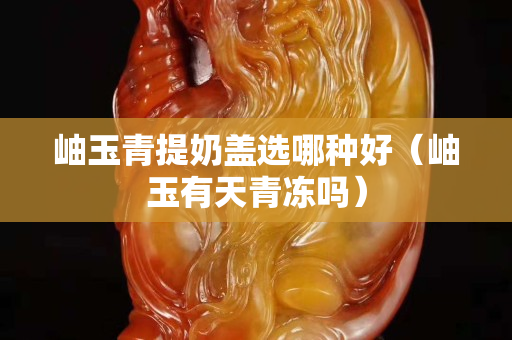 岫玉青提奶蓋選哪種好（岫玉有天青凍嗎）