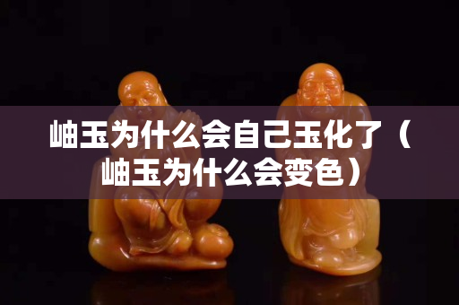 岫玉為什么會自己玉化了（岫玉為什么會變色）