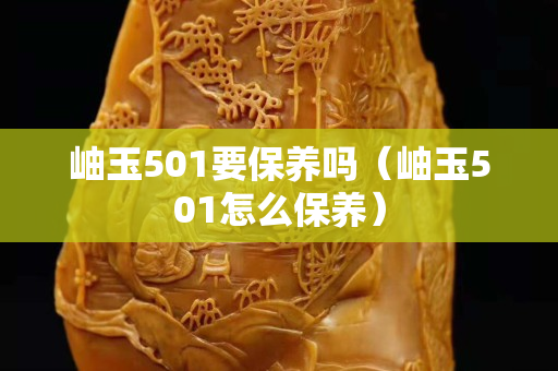 岫玉501要保養嗎（岫玉501怎么保養）