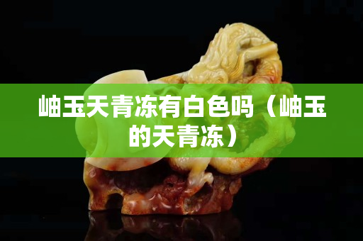 岫玉天青凍有白色嗎（岫玉的天青凍）
