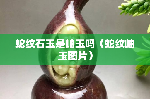 蛇紋石玉是岫玉嗎（蛇紋岫玉圖片）