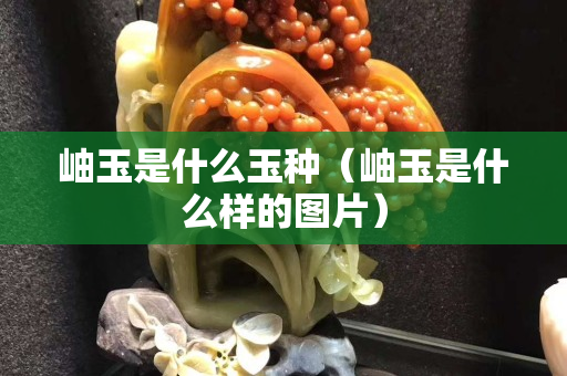 岫玉是什么玉種（岫玉是什么樣的圖片）