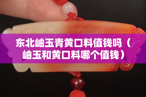 東北岫玉青黃口料值錢(qián)嗎（岫玉和黃口料哪個(gè)值錢(qián)）