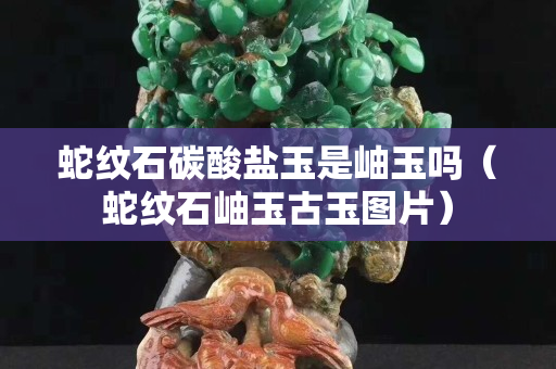 蛇紋石碳酸鹽玉是岫玉嗎（蛇紋石岫玉古玉圖片）
