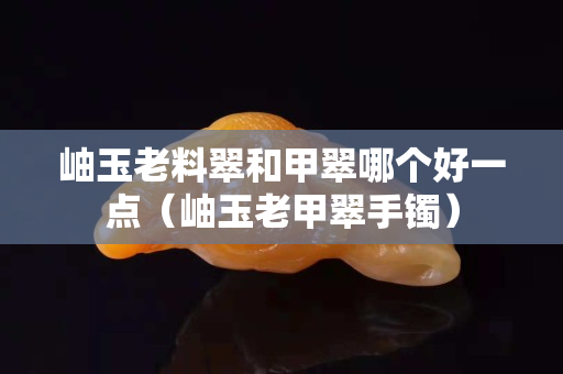 岫玉老料翠和甲翠哪個好一點（岫玉老甲翠手鐲）