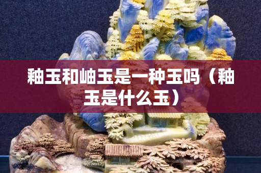 釉玉和岫玉是一種玉嗎（釉玉是什么玉）